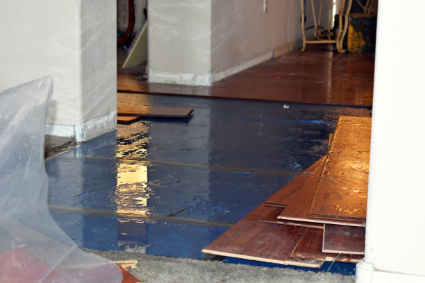 Professional Water Damage Restoration technician working in Hoschton, GA